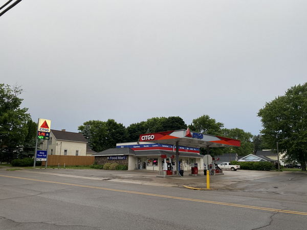 Elsie - May And June 2022 (newer photo)